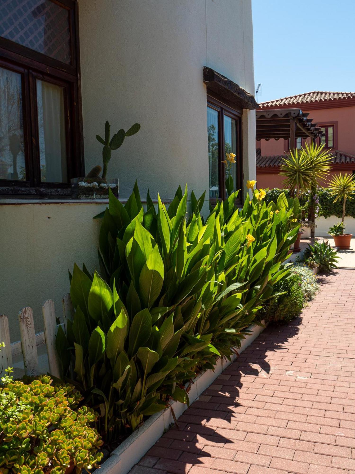 Villa Ibicenca Love Benalmádena Esterno foto